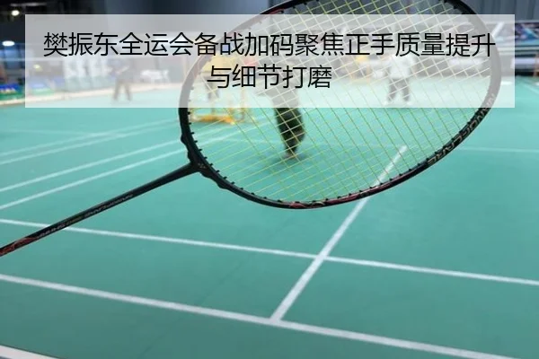 樊振东全运会备战加码聚焦正手质量提升与细节打磨